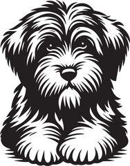 Briard Dog vector in black and white