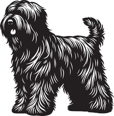 Briard Dog vector in black and white