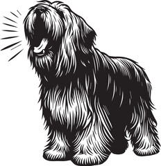 Briard Dog vector in black and white