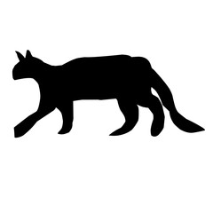 Hand-drawn black cat, isolated on a white background. Vector illustration of a Halloween decorative element for design decoration.