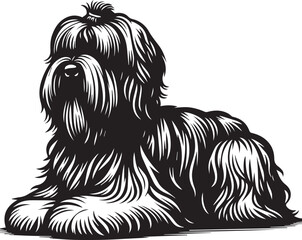 Briard Dog vector in black and white
