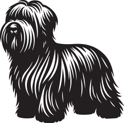 Briard Dog vector in black and white
