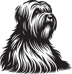 Briard Dog vector in black and white