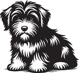 Briard Dog vector in black and white