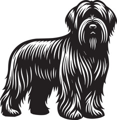 Briard Dog vector in black and white