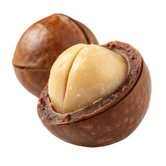 A shelled macadamia nut a creamy and rich snack isolated on a transparent background png