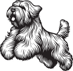 Briard Dog vector in black and white