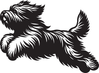 Briard Dog vector in black and white