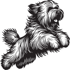 Briard Dog vector in black and white