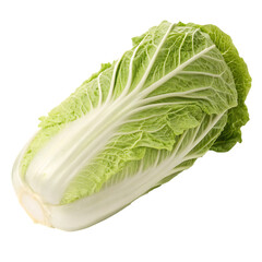 A whole head of fresh Napa or Chinese cabbage isolated on a transparent background png