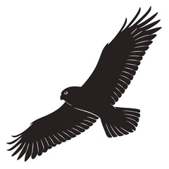 Barn owl diving for prey silhouette