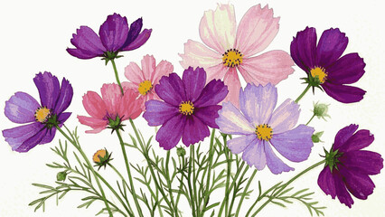 Obraz premium Autumn's Whisper Cosmos flowers isolated watercolor vector illustration svg