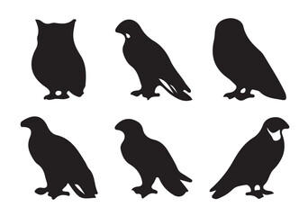 Naklejka premium Bald Eagle, eagle and owl