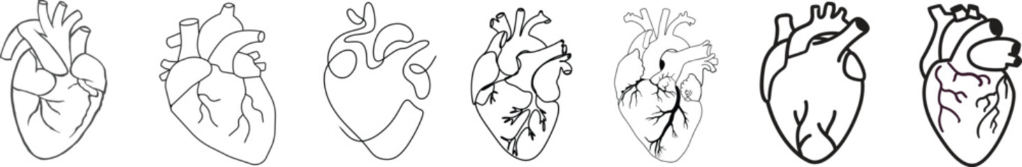 Anatomical heart icon set.Human anatomy internal organ set with brain lung intestine heart kidney liver and stomatch.Healthy Cardiovascular Organ Symbol Collection on White Background and red.