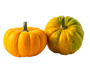 Two Yellow and Green Pumpkins Side by Side