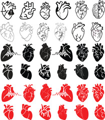 Anatomical heart icon set.Human anatomy internal organ set with brain lung intestine heart kidney liver and stomatch.Healthy Cardiovascular Organ Symbol Collection on White Background and red.
