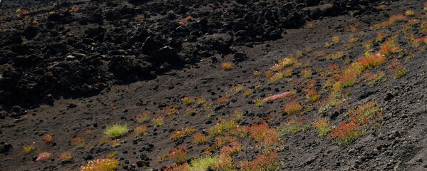 Close-up of raw, desolate volcanic landscape of Mount Etna in Sicily. Contrasting textures of black volcanic rock, dark volcanic ash, and patches of resilient vegetation. Travel, nature, geology.