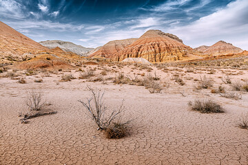 Dry cracked soil and sparse vegetation in front of colorful mountains, showcasing the arid beauty of Altyn Emel National Park, Kazakhstan