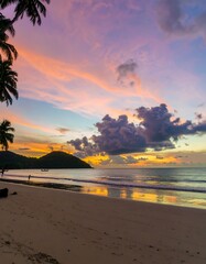 Tropical Beach Sunset, Ocean Reflection, Palms