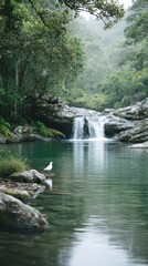 White Bird Perched Near Waterfall in Lush Green Jungle