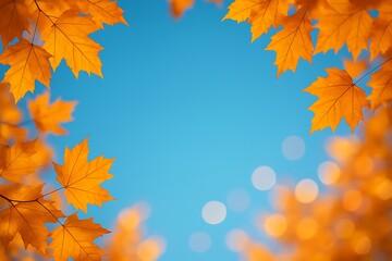 Autumn Maple Leaves Blue Sky Bokeh Background Frame fall orange