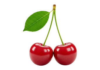 透明背景に分離された二つの熟した赤いサクランボと緑の葉のクローズアップビュー