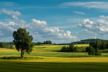 Idyllic Summer Landscape
