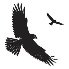 Falcon diving at prey silhouette