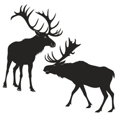 Moose antlers on wall silhouette