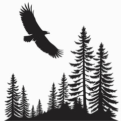 Eagle flying above pine forest silhouette