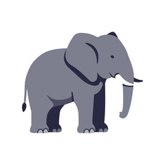 Gray african elephant vector illustration wildlife safari animal zoo mammal nature icon