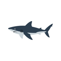 Great white shark illustration marine predator ocean wildlife sea creature apex hunter isolated vector graphic
