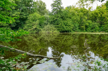Romantischer Nebenarm des Baldeneysees in Essen