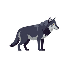 Gray wolf standing profile wild canine animal illustration nature wildlife vector