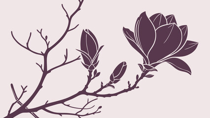 Illustration of a magnolia branch with blooming flowers and buds in a minimalist style design art