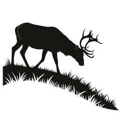 Moose grazing on grassy hill silhouette