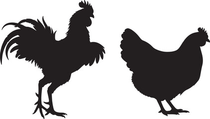 Cock and hen with in silhouette white background..