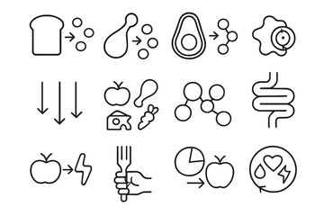 Food Breakdown Icons. Outline vector icons of food breakdown by type: carbs to sugar, protein to amino acids,