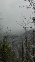 Snowy Polish mountains covered in fog during spring. Unique seasonal contrast in natural landscape.