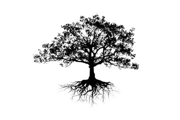 Black silhouette tree with roots. Tree with roots, o transparency on transparecy generative AI