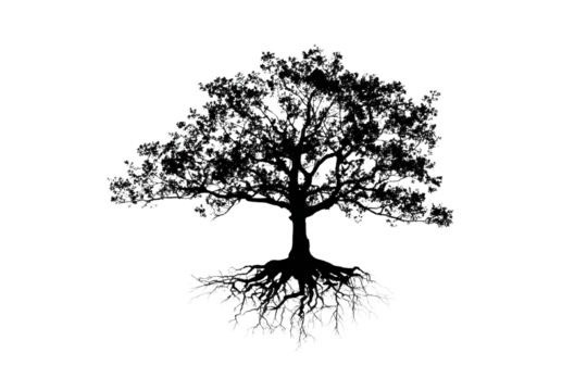 Black silhouette tree with roots. Tree with roots, o transparency on transparecy generative AI