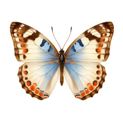 Fototapeta premium 透明な背景のカラフルな蝶のイラスト 自然界の美しい昆虫のパターン