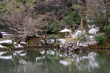 Snowy Japanese Garden with Pond Reflection and Yukizuri Trees