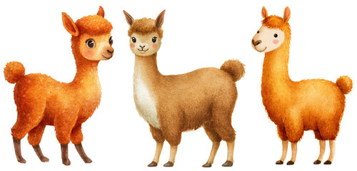 Obraz premium Set of Colorful llamas in playful poses for childrens design and decoration. Cut out PNG