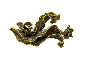 Single piece of dried seaweed, deep greens and earthy browns, brittle curling texture, isolated on clean solid transparent background, macro lens, concept of natural desiccation and organic form
