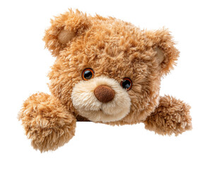 Cute bear with soft fur for childrens comfort and joy. Cut out PNG