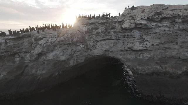 Santa Cruz Raw Drone Footage of Coastal Cliffs, Sea Birds, and Sunrise in Log Format