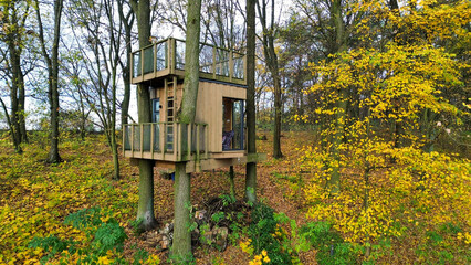 A small wooden treehouse built among tall trees in an autumn forest, with yellow leaves surrounding it.
