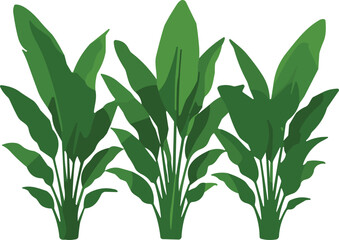 Green tropical plant, leaf illustration, indoor foliage vector, garden decoration, nature graphic design