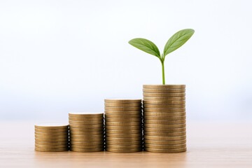 Growing Investment: Stacked Coins with Sprout Symbolizing Financial Growth and Investment Returns on Wooden Surface